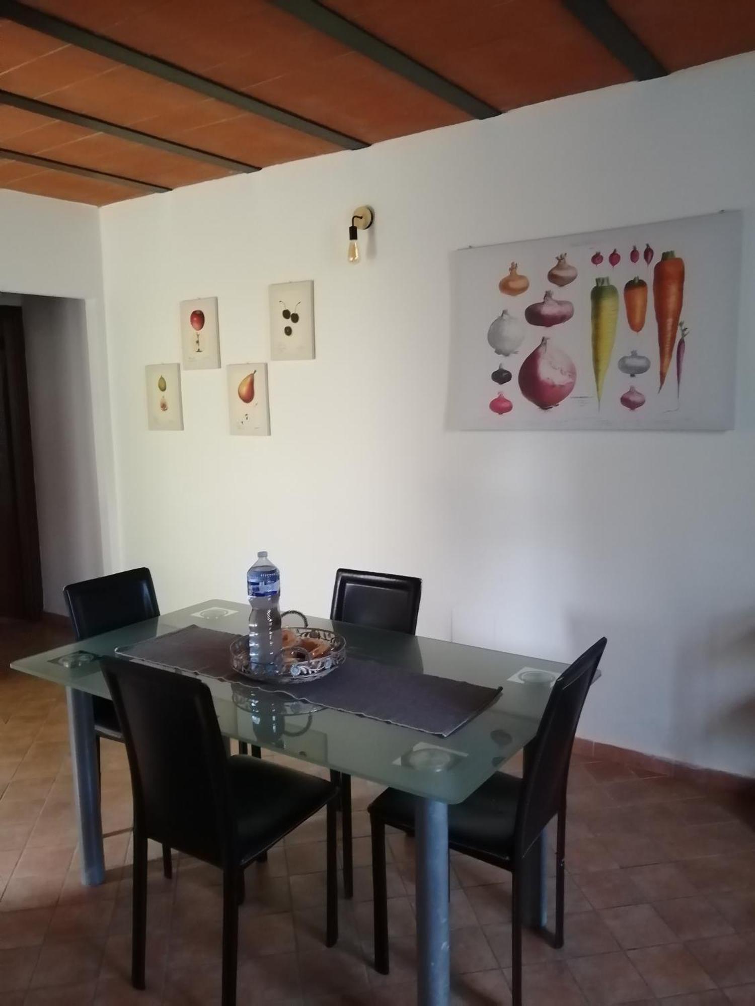 A Casa Mia Apartman Pisa Kültér fotó