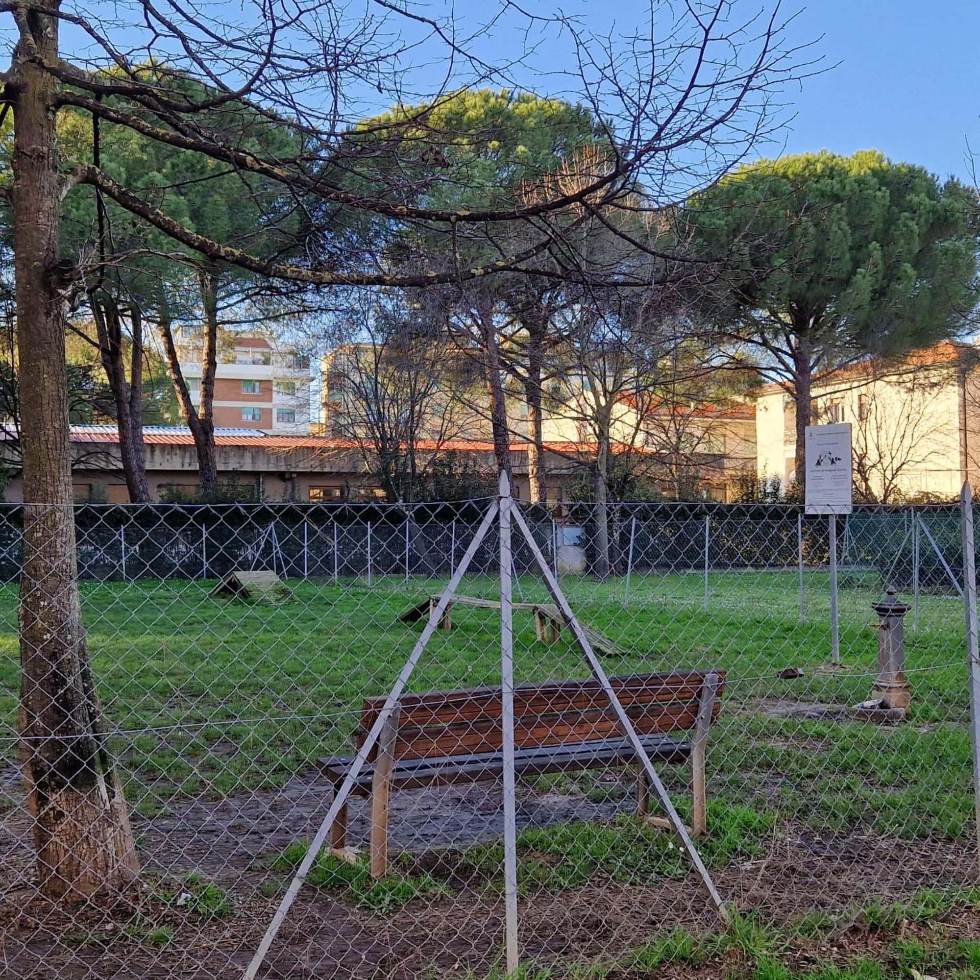 A Casa Mia Apartman Pisa Kültér fotó